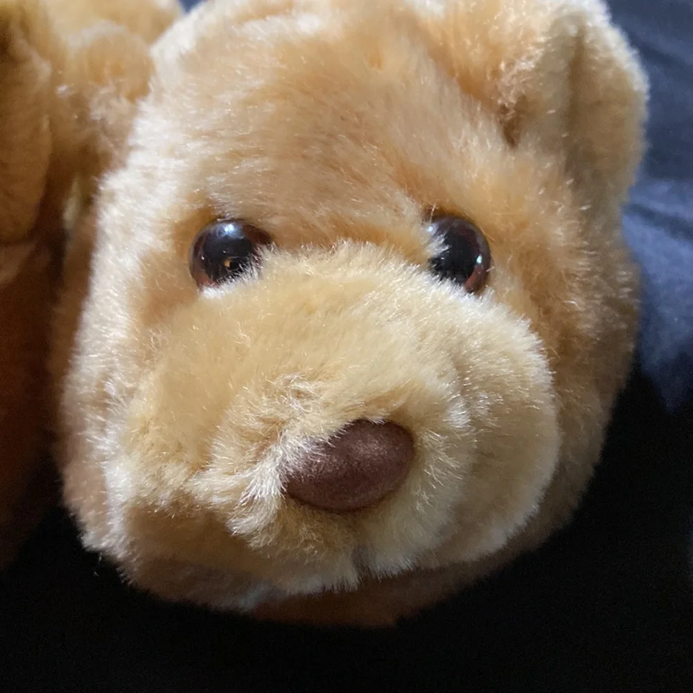 EUC Build-a-bear workshop kids slippers fuzzy 🐻 size 12/13